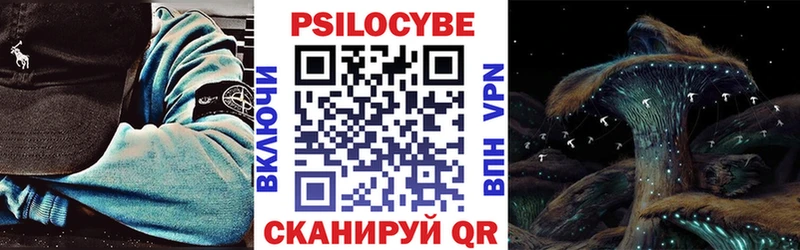 Галлюциногенные грибы GOLDEN TEACHER  Купить где  Магас 